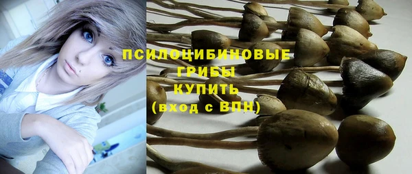 мяу мяу кристалл Михайлов