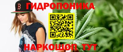 мяу мяу мука Краснокаменск