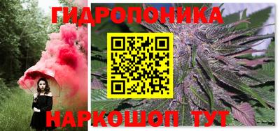 спиды Краснознаменск
