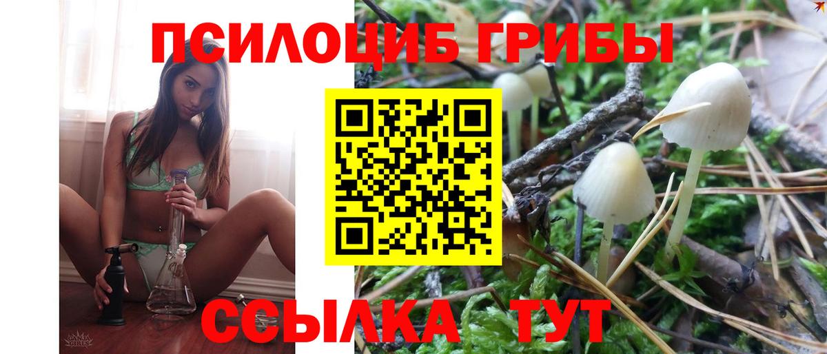 Псилоцибиновые грибы Cubensis  Псилоцибиновые грибы Magic Shrooms  Вход с VPN  Петрозаводск 